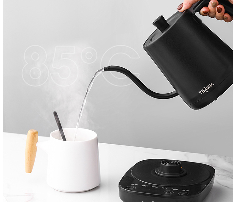 Temp Control Electric Kettle