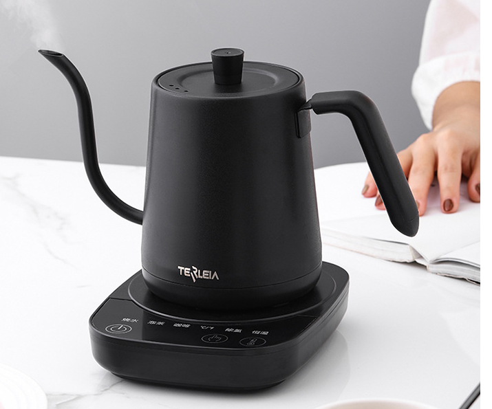 Temp Control Electric Kettle