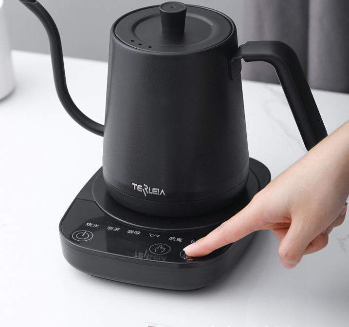 Temp Control Electric Kettle